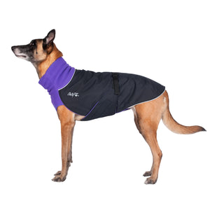 Chilly Dogs Great White North Dog Coat, Imperial Purple/ Black Shell
