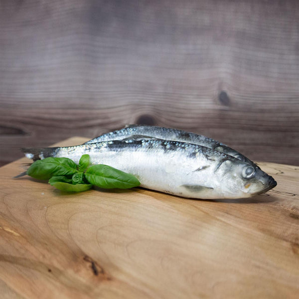 Big Country Raw Whole Herring Frozen Dog & Cat Treats