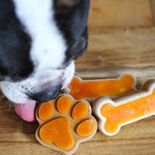 Big Country Raw Fish, Paw & Bone Silicone Frozen Dog Treat Mold, Large