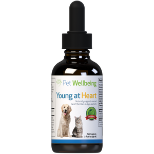 Pet Wellbeing Young At Heart