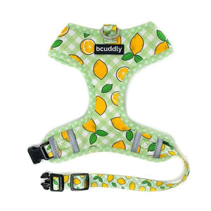 Bcuddly Control Dog Harness, Lemons