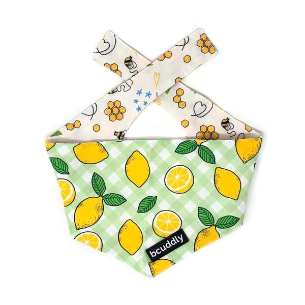 Bcuddly Bandana, Citrons