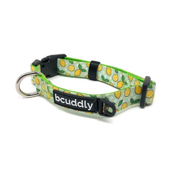 Bcuddly Dog Collar, Lemons