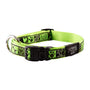 Rogz Collier Déguisement pour Chien, Jus de Citron Vert
