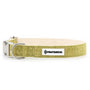 Pawtanical Dog Collar, Grass Green