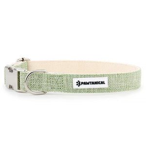 Pawtanical Dog Collar, Light Green
