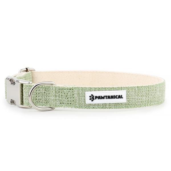 Pawtanical Collier pour chien, Vert clair