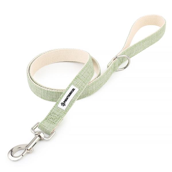 Pawtanical Dog Leash, Light Green
