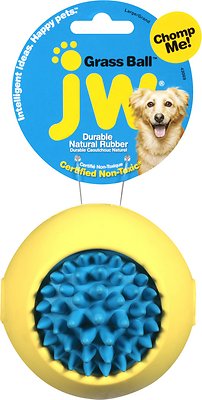 JW Pet Grass Ball Dog Toy, Color Varies