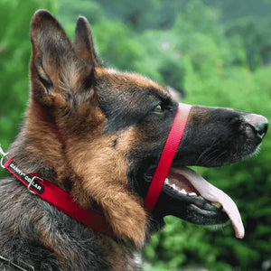 The Canny Company Collier Canny pour chien, rouge