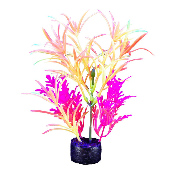 Marina iGlo Fountain Plant Aquarium Plant, Orange/Yellow/Pink