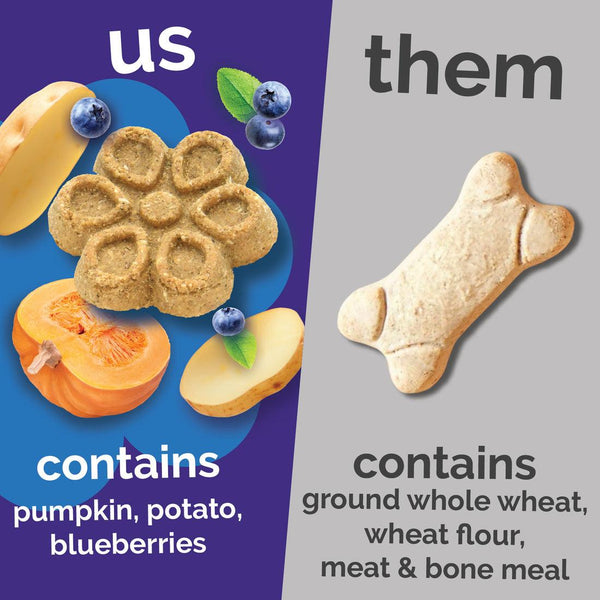 Fruitables Biggies Pumpkin & Blueberry Dog Treats