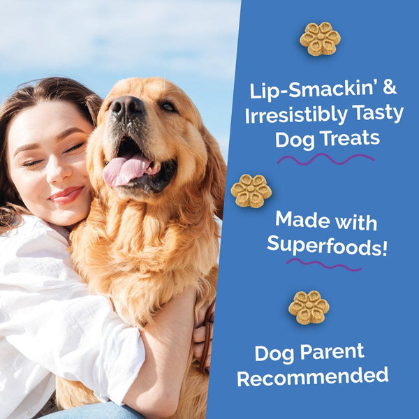 Fruitables Biggies Pumpkin & Blueberry Dog Treats