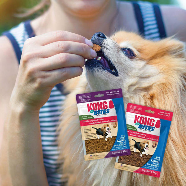 Gâteries pour chiens KONG Mini Bites au poulet
