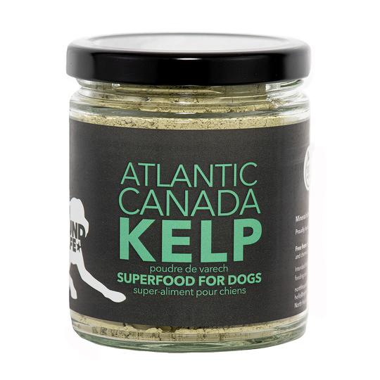 North Hound Life Friandises pour chiens à la Laitue de Mer Bio