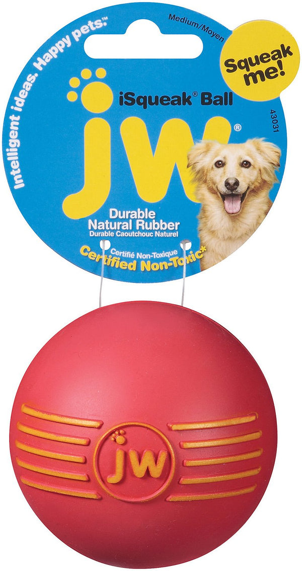 JW Pet iSqueak Ball Dog Toy, Color Varies