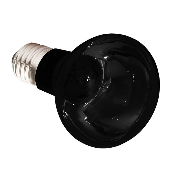 Komodo Ampoule Lumière de Lune pour Reptiles