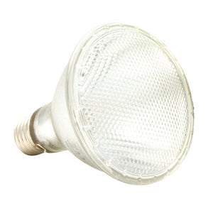 Komodo Ampoule Spot Halogène pour Reptiles