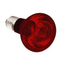 Komodo Ampoule Spot Infrarouge pour Reptiles