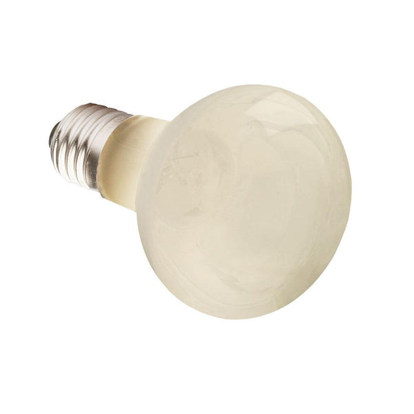 Komodo Ampoule Spot Chauffante pour Reptiles