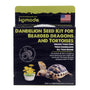 Komodo Dandelion Seed Kit for Bearded Dragons & Tortoises