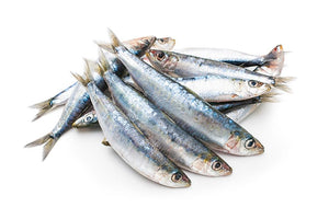 Iron Will Raw Sardines Frozen Cat & Dog Food