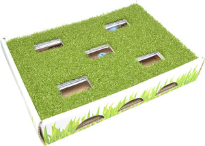 Petstages Grass Patch Hunting Box Scratcher Cat Toy