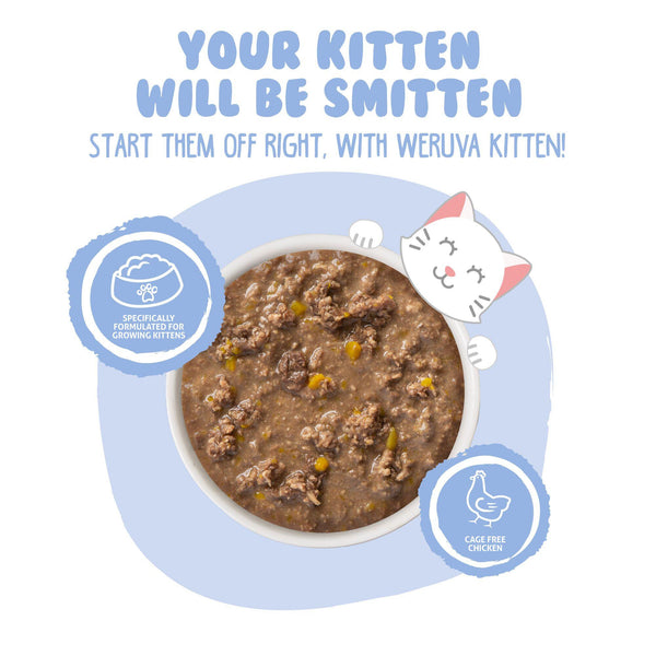 Weruva Kitten Chicken & Pumpkin Formula in Gravy Wet Cat Food Can