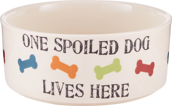 PetRageous Designs Gamelle One Spoiled Dog, 5.5 tasses