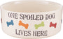 PetRageous Designs Gamelle One Spoiled Dog, 5.5 tasses