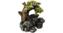 Aqua Della Bonsai On Rock Aquarium Decoartion