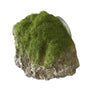 Aqua Della Moss Stone with Suction Cup Aquarium Decoration