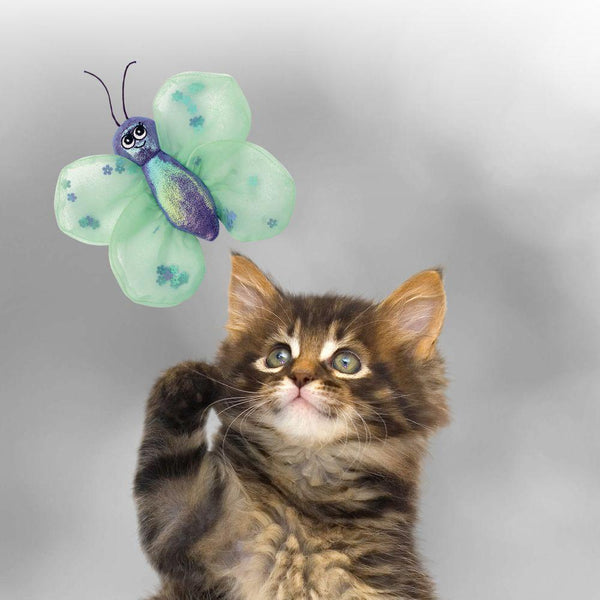 KONG Better Buzz Butterfly Cat Toy