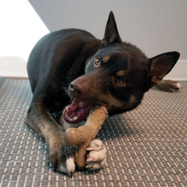 KONG ChewStix Tough Antler Dog Toy