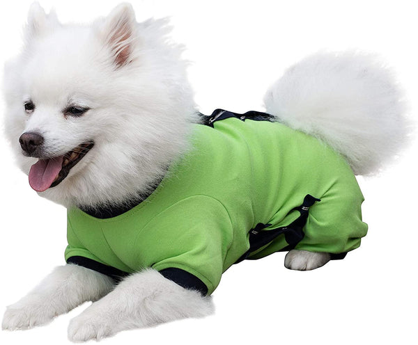 Tulane's Closet Cover Me by Tui Adjustable Fit Long Sleeve Dog Onesie, Green