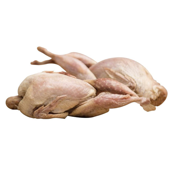 Big Country Raw Whole Quail Frozen Dog & Cat Food