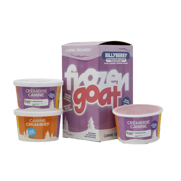 Gâteries pour chiens Big Country Raw au yogourt de chèvre glacé Billyberry