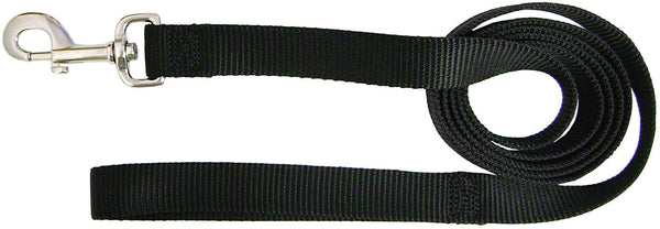 Hamilton Single Thick Nylon Dog Leash, Black