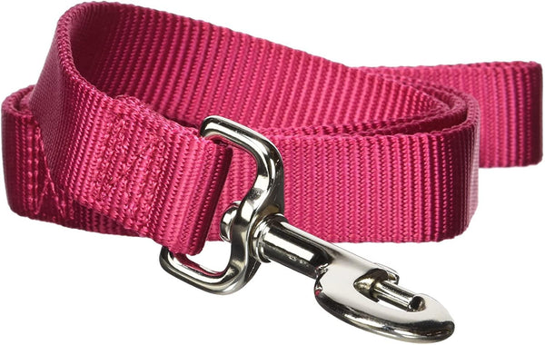 Hamilton Single Thick Nylon Dog Leash, Raspberry