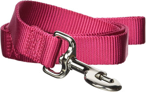 Hamilton Single Thick Nylon Dog Leash, Raspberry