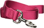 Hamilton Single Thick Nylon Dog Leash, Raspberry