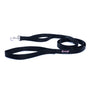 Smoochy Poochy Nylon Regular Style Dog Leash, Black