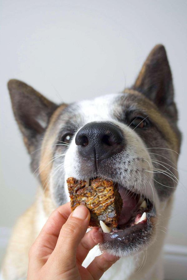 Healthybud Cod Skins Dog Treats