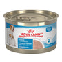 Royal Canin Size Health Nutrition Starter Mother & Babydog Mousse in Sauce Wet Dog Food (CA)