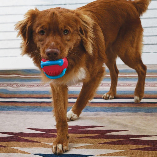 KONG Jaxx Brights Ball Jouet pour chien Assortiment