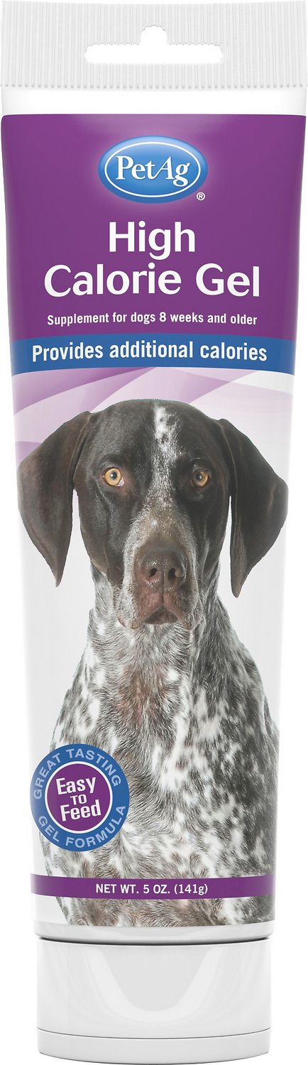 PetAg Gel énergétique pour chien, bouteille de 5 oz