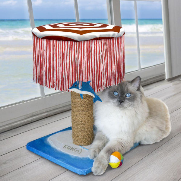 KONG Play Spaces CATbana jouet pour chat