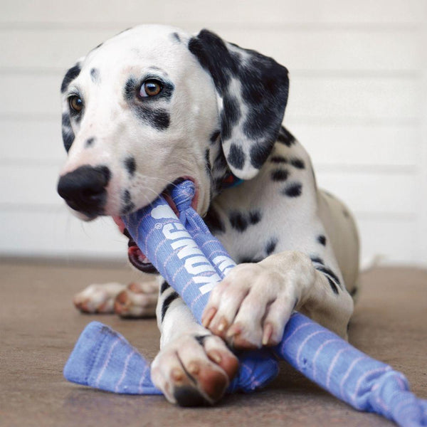 KONG Signature Crunch Rope Double Puppy Dog Toy
