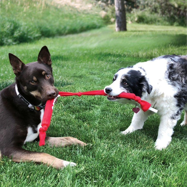 KONG Signature Crunch Rope Single Dog Toy
