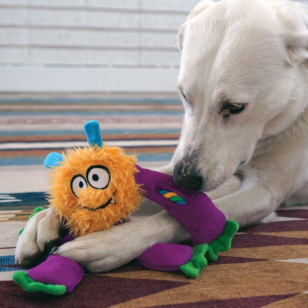KONG Sneakerz Knots Dog Toy, Assorted